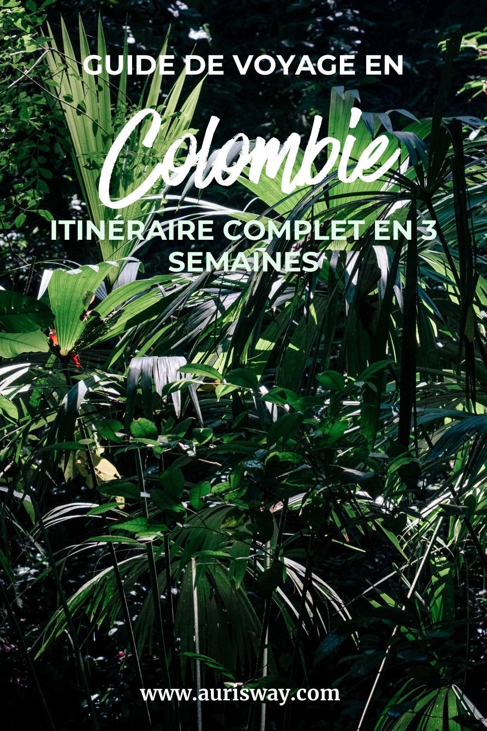 Pin Pinterest de l'article Itinéraire de 3 semaines en Colombie
