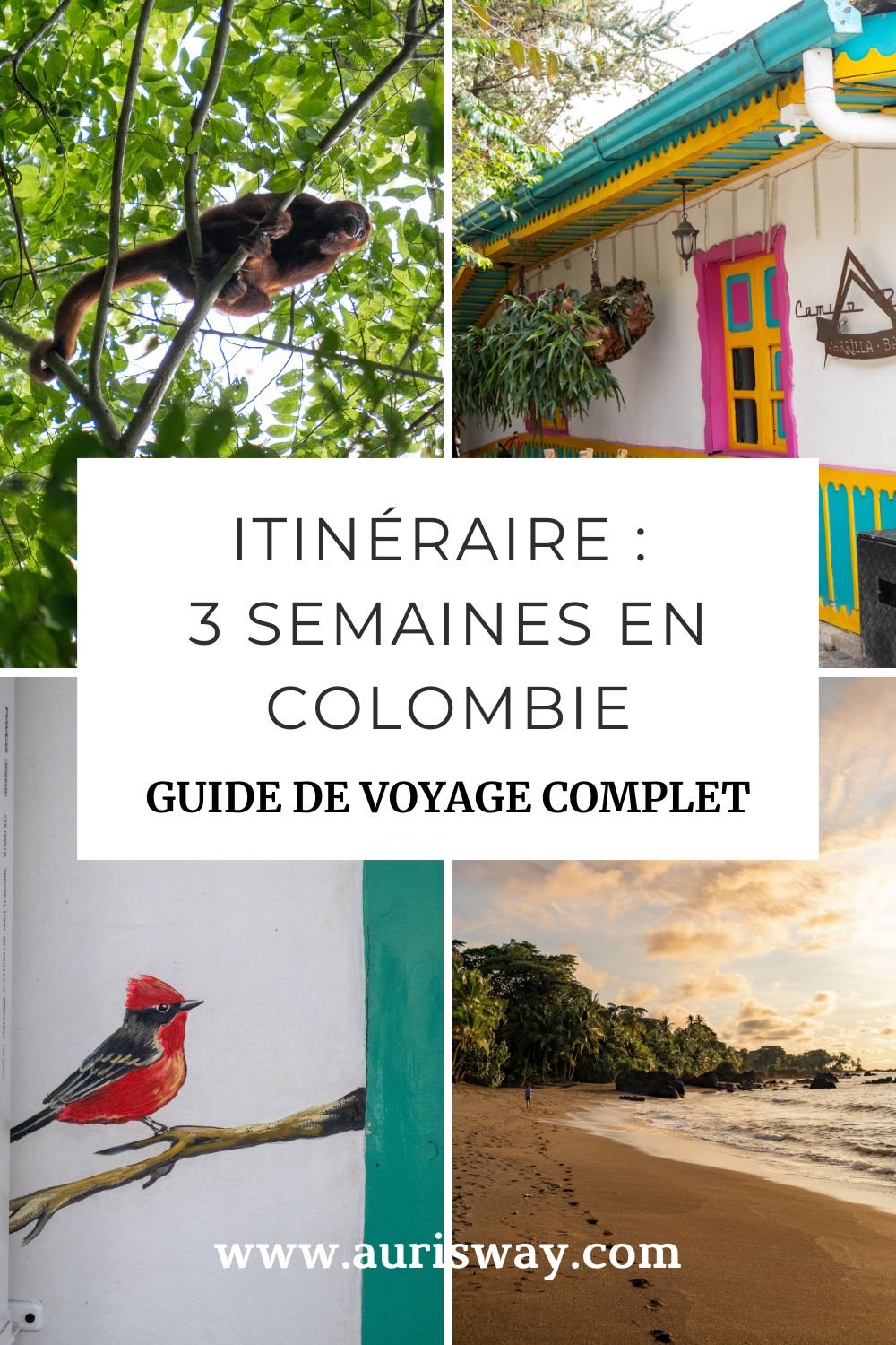 Pin Pinterest en mosaïque de l'article Itinéraire de 3 semaines en Colombie