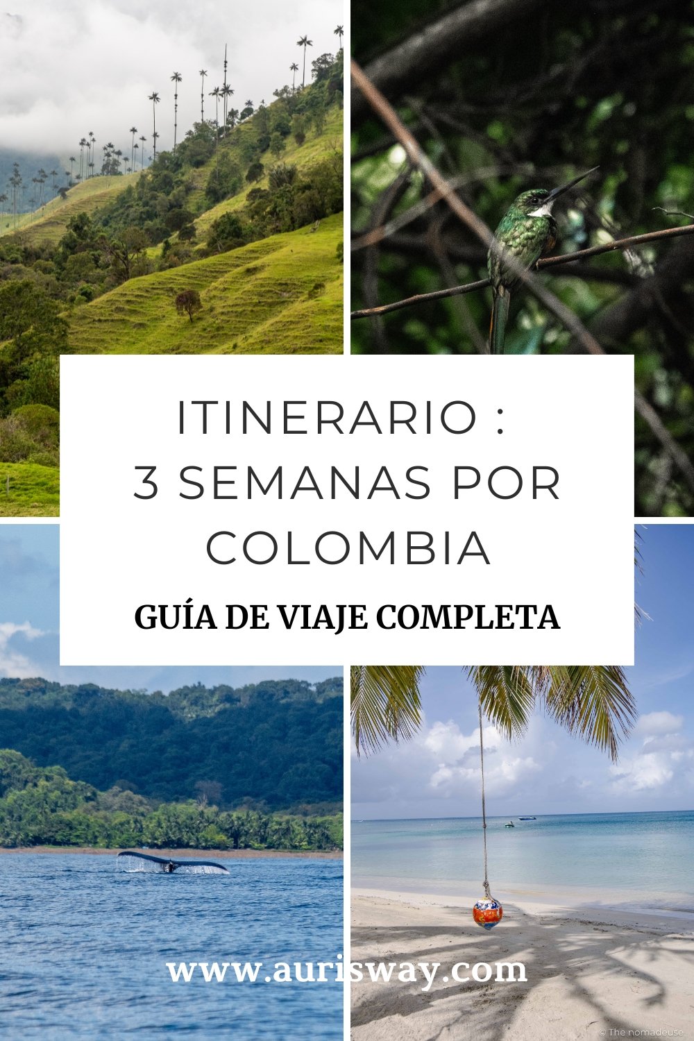 Pin Pinterest del articulo itinerario de 3 semanas en Colombia en formato mosaico