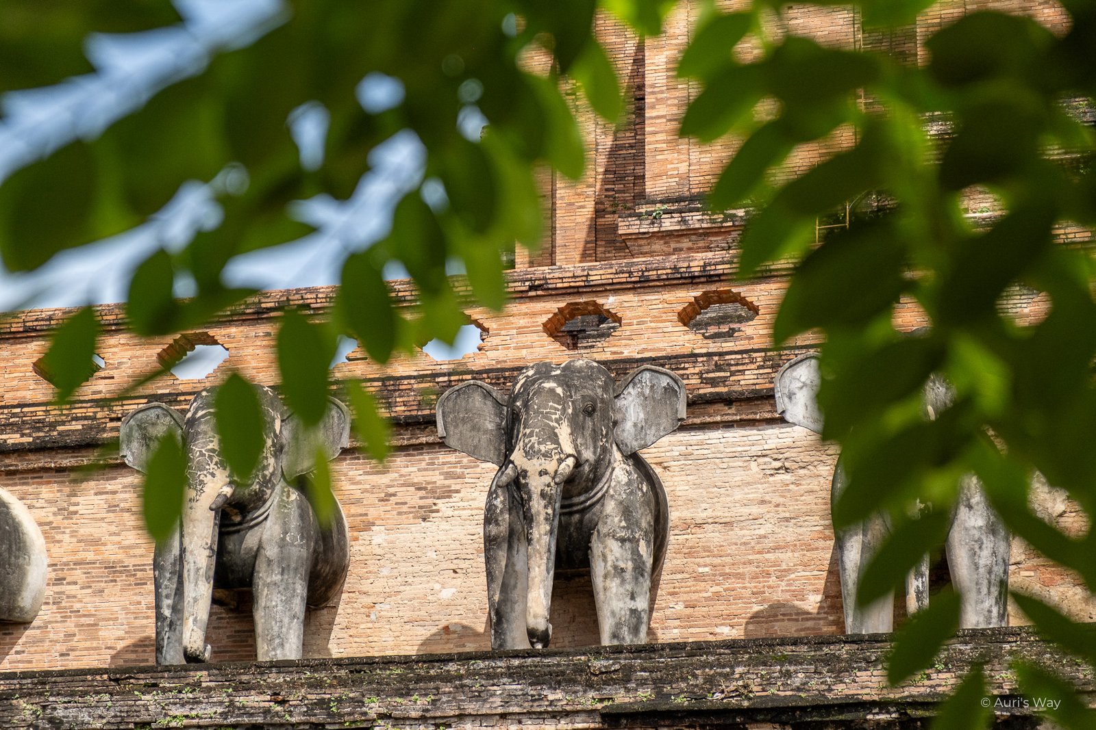 Des statues d'éléphants ornent le temple Chedi Luang à Chiang Mai