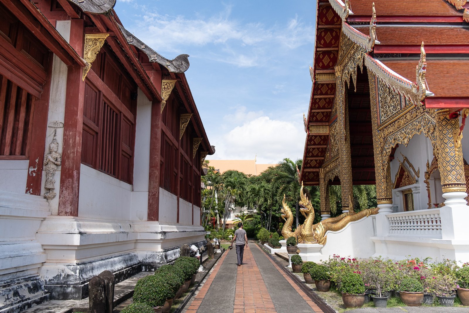 Figure marchant entre deux temples à Chiang Mai en Thailande.