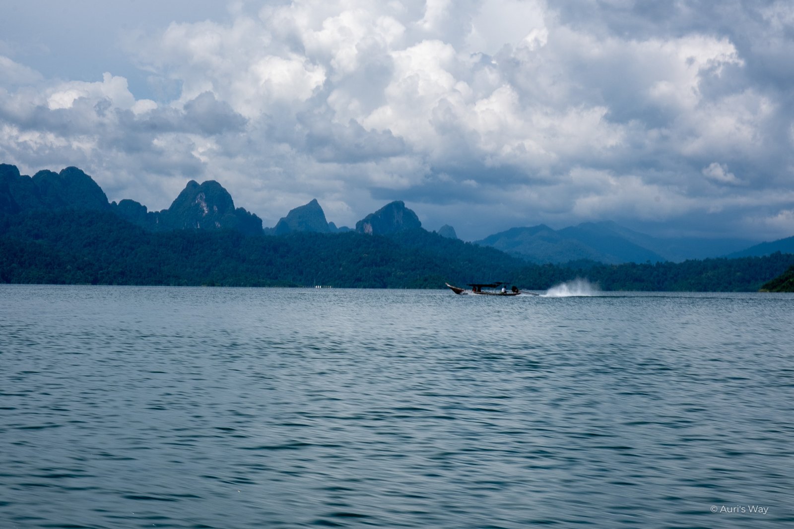 Vue panoramique du parc Khao Sok avec silhouette des montagnes karstiques en fond