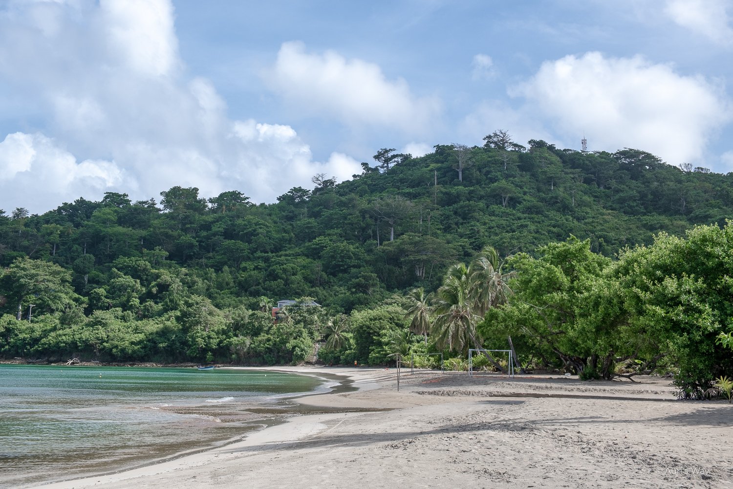 Bahia suroeste, une plage déserte bordée de palmier sur l'île de Providencia