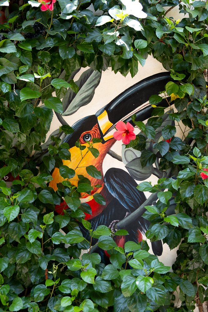 L'art mural est présent partout dans le quartier de Gatsemani à Carthagène, une étape incontournable de notre itiinéraire de 3 semaines en Colombie