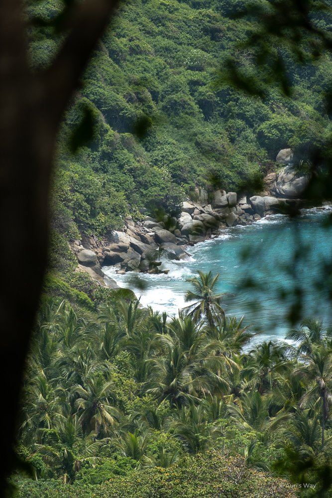 Un circuit de 3 semaines en Colombie doit absolument comprendre le parc du Tayrona