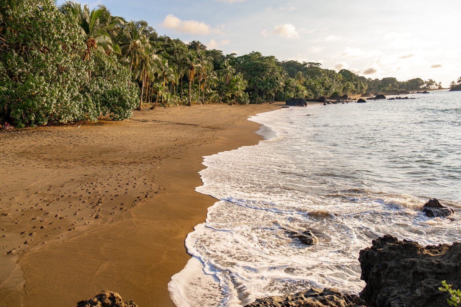 nuqui colombia 3 semanas