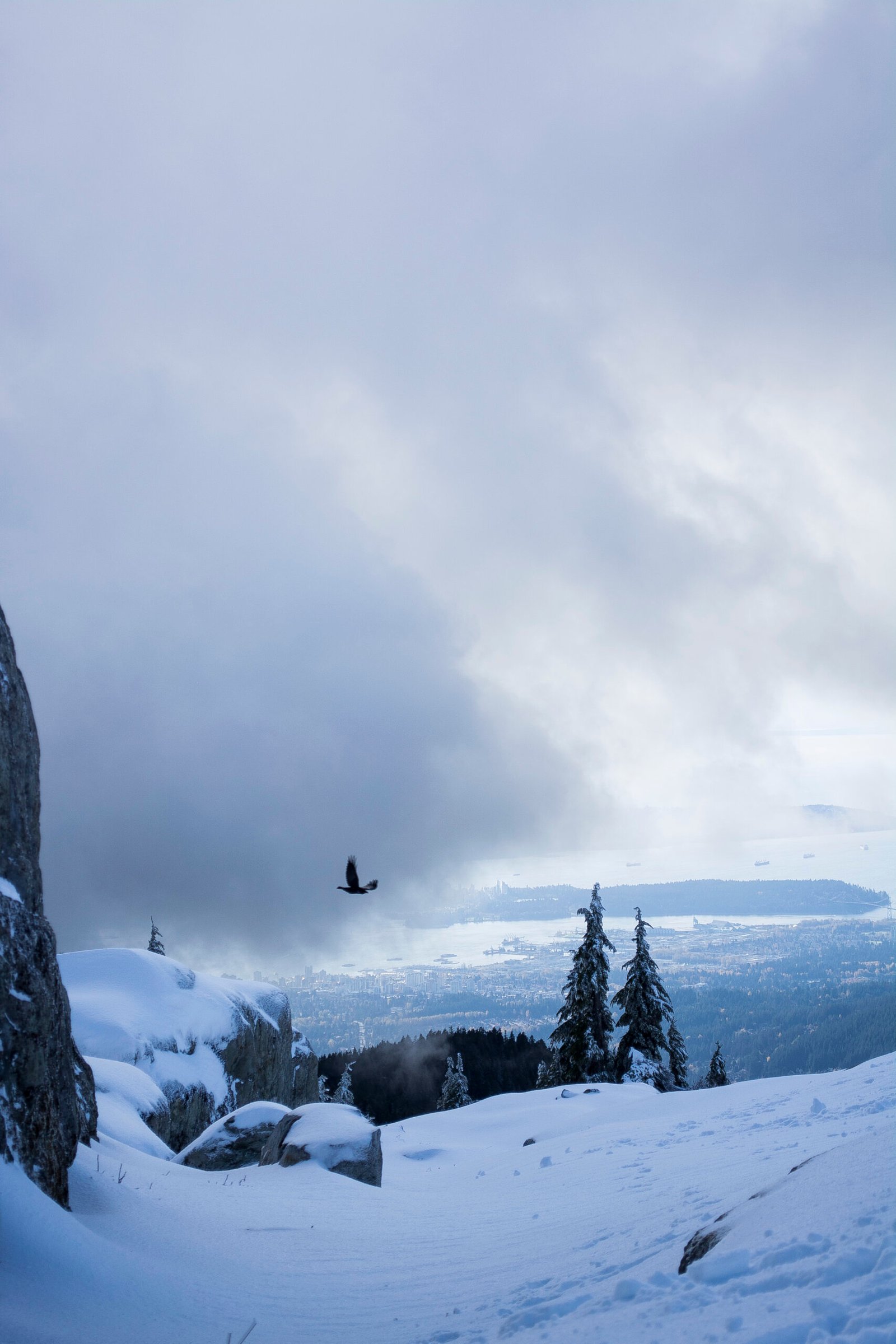 Photo of Grouse Mountain in Vancouver with a flying eagle