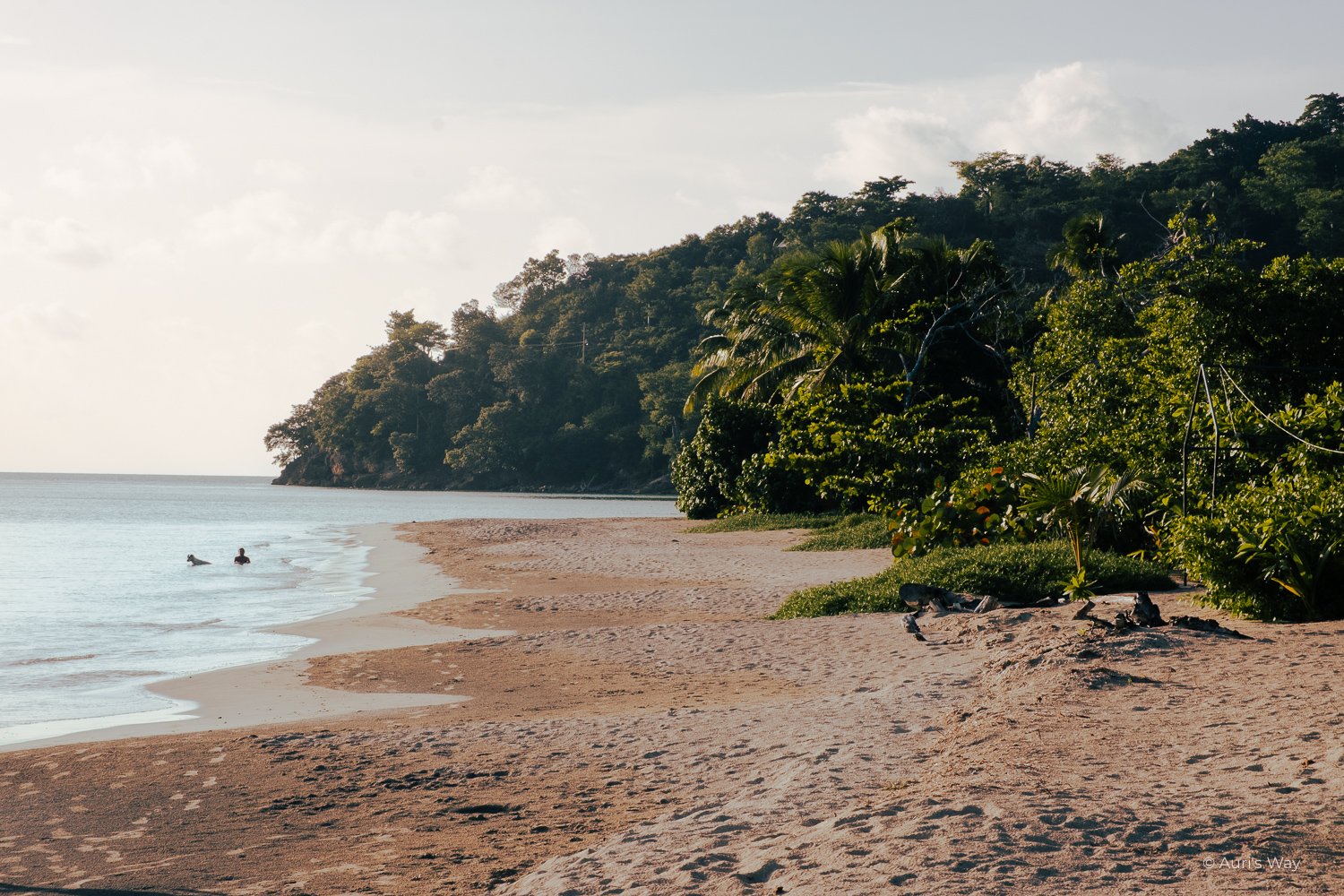 Visite des superbes plages. de l'île de Providencia en Colombie.
