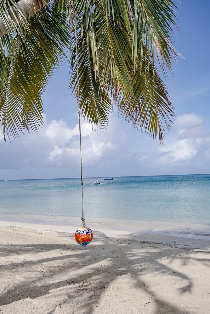 Boule pendue à un palmier sur une plage paradisiaque des caraïbes à Providencia en Colombie.