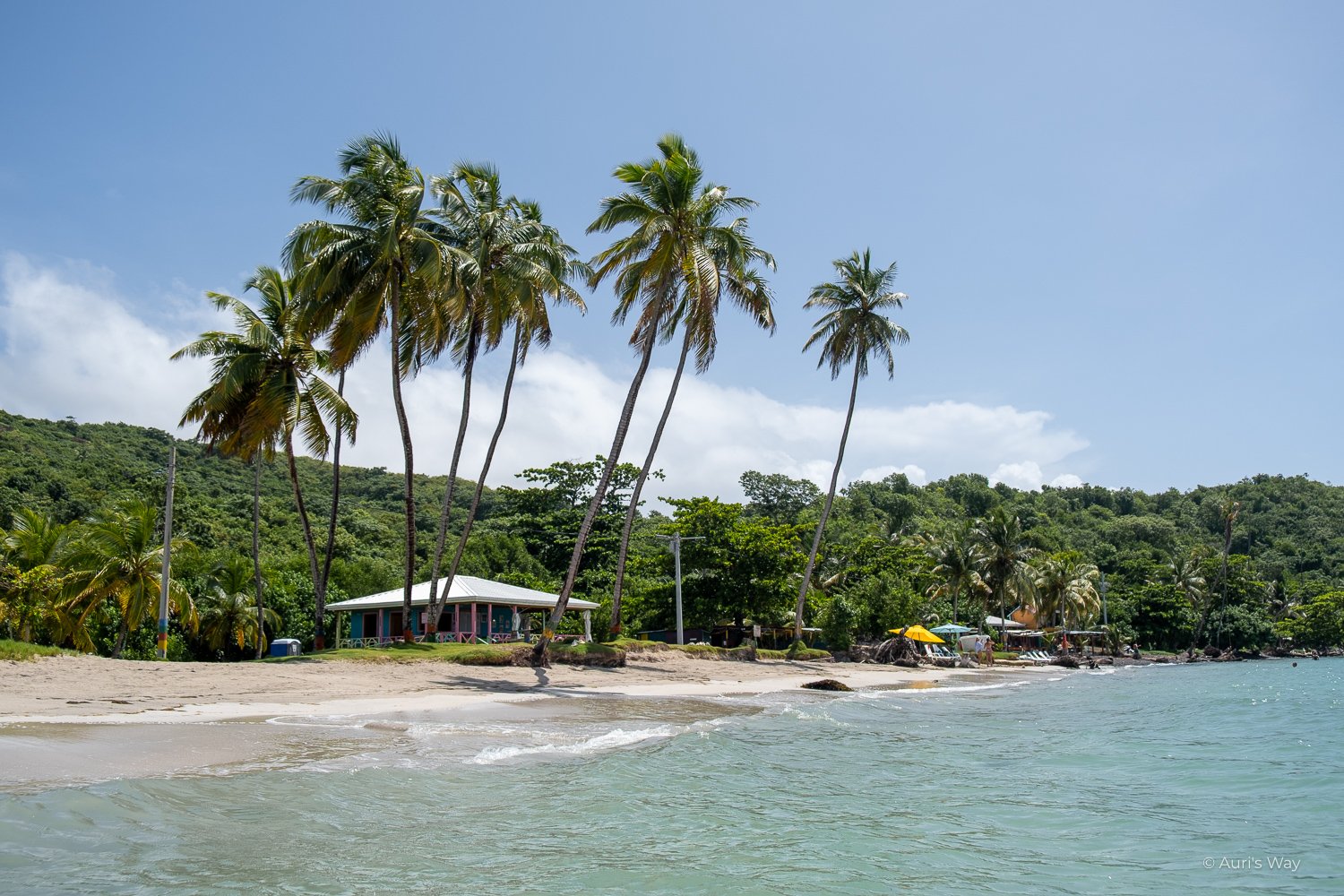 Chiringuito rodeado de palmeras en la playa Manzanillo de la isla Providencia
