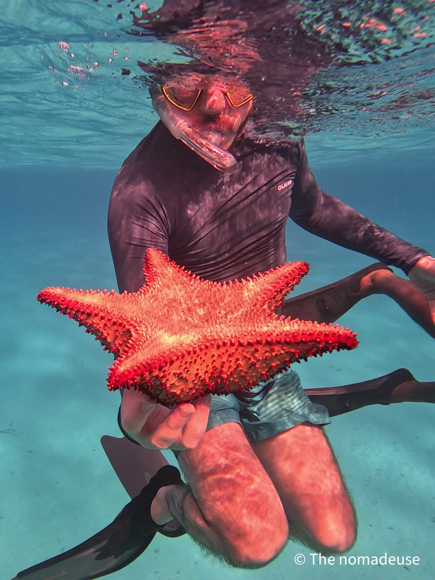 Activité de snorkelling sur l'île de Providencia avec étoile de mer dans une eau turquoise