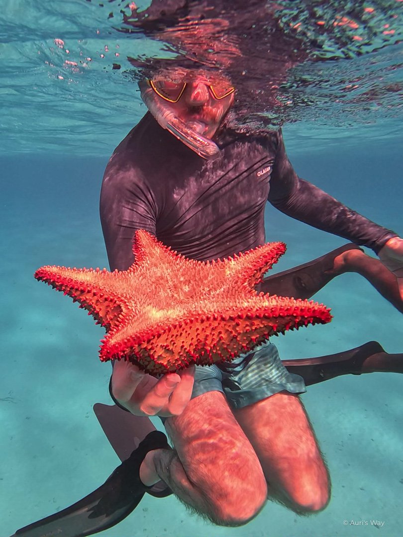 El snorkeling es una de las mejores actividades de la isla Providencia