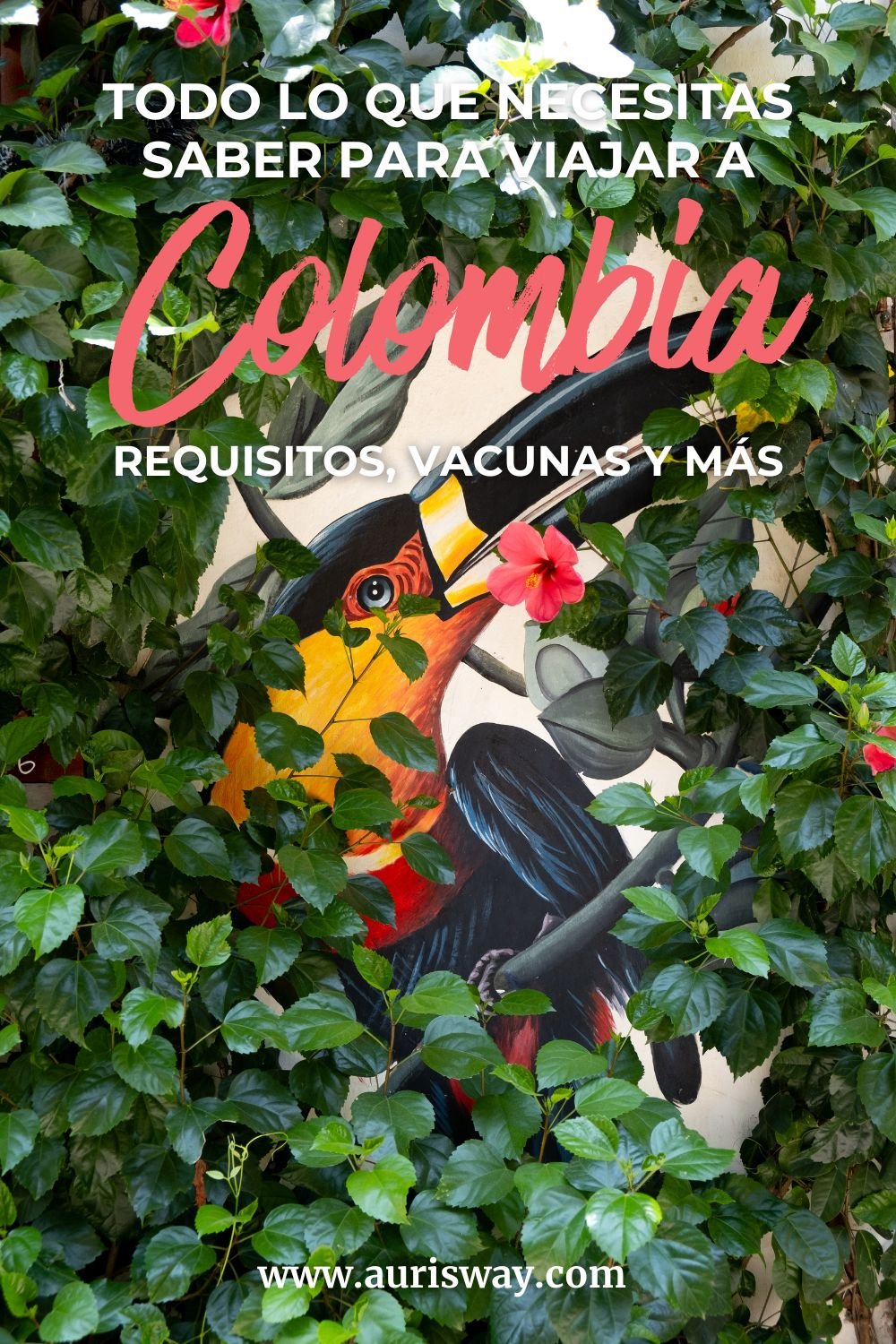 Pin Pinterest para el artículo Requisitos para viajar a Colombia