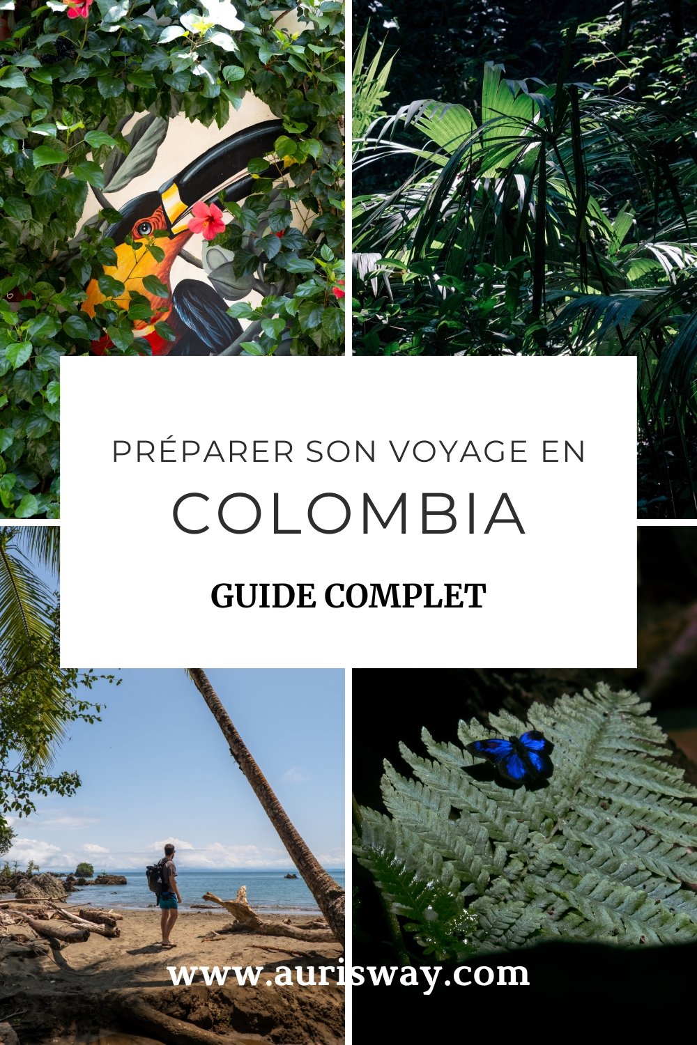 Pin Pinterest Préparer son voyage en Colombie au format mosaïque