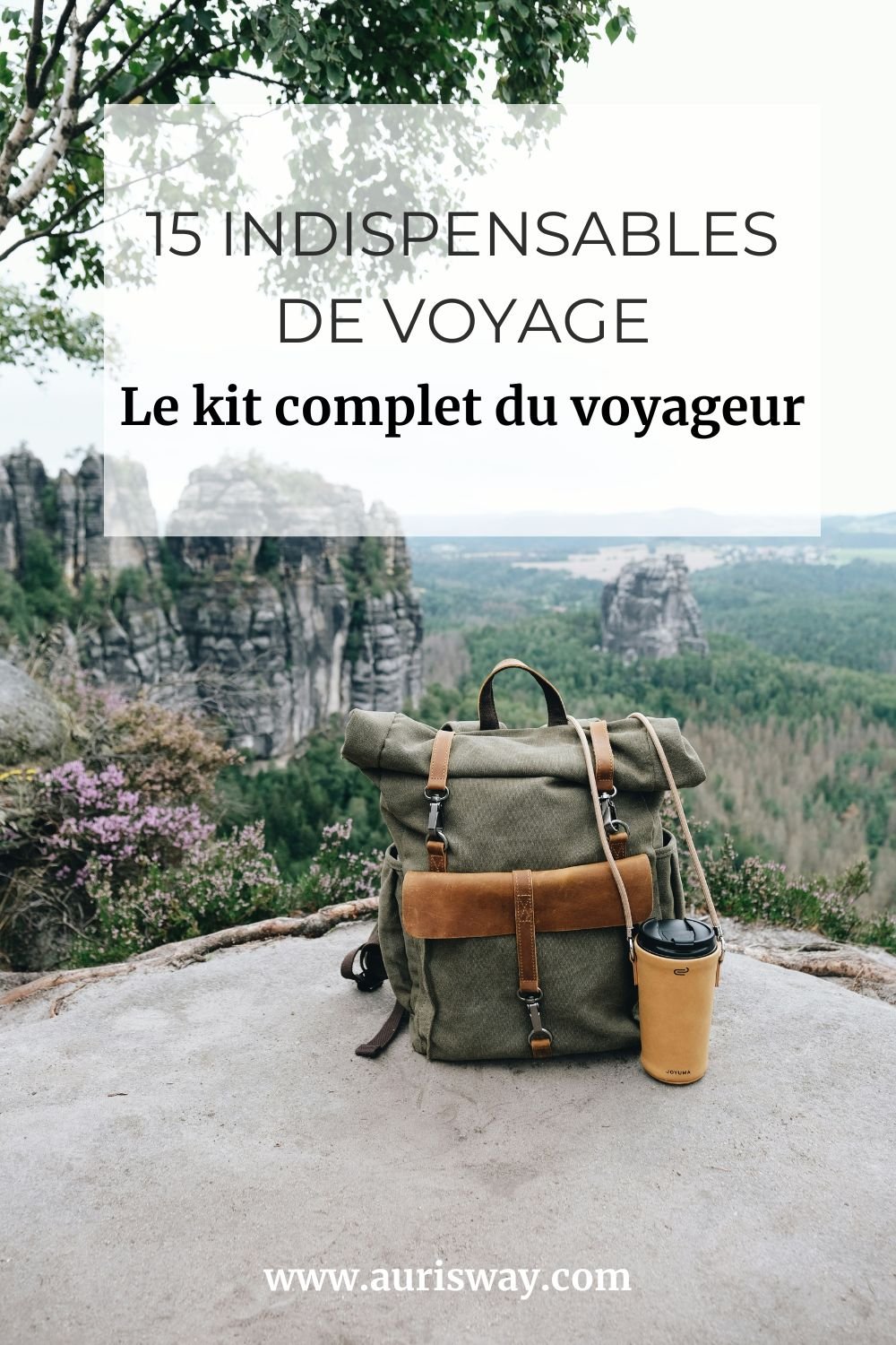 Pin Pinterest pour l'article 15 indispensables de voyage