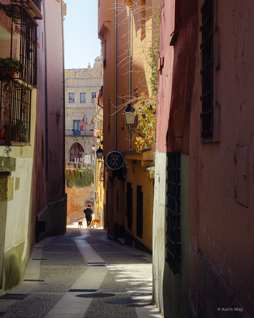 Silhouette d'une femme promenant ses chiens dans une petite ruelle colorée de Cuenca en Espagne.