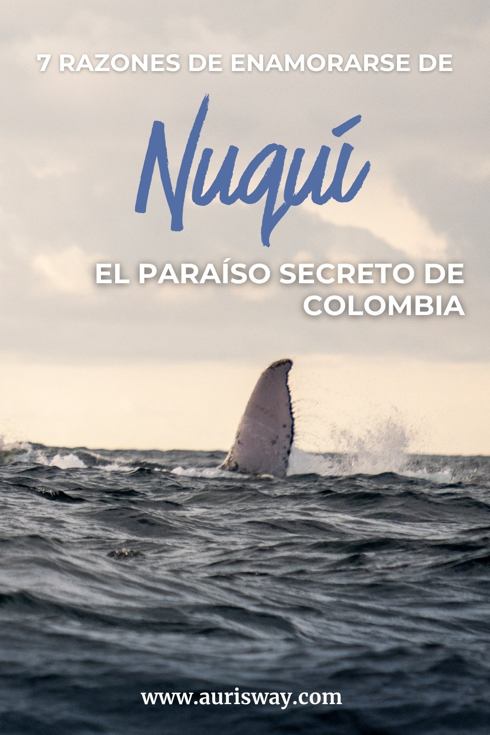 Pin Pinterest sobre el articulo de Nuqui.