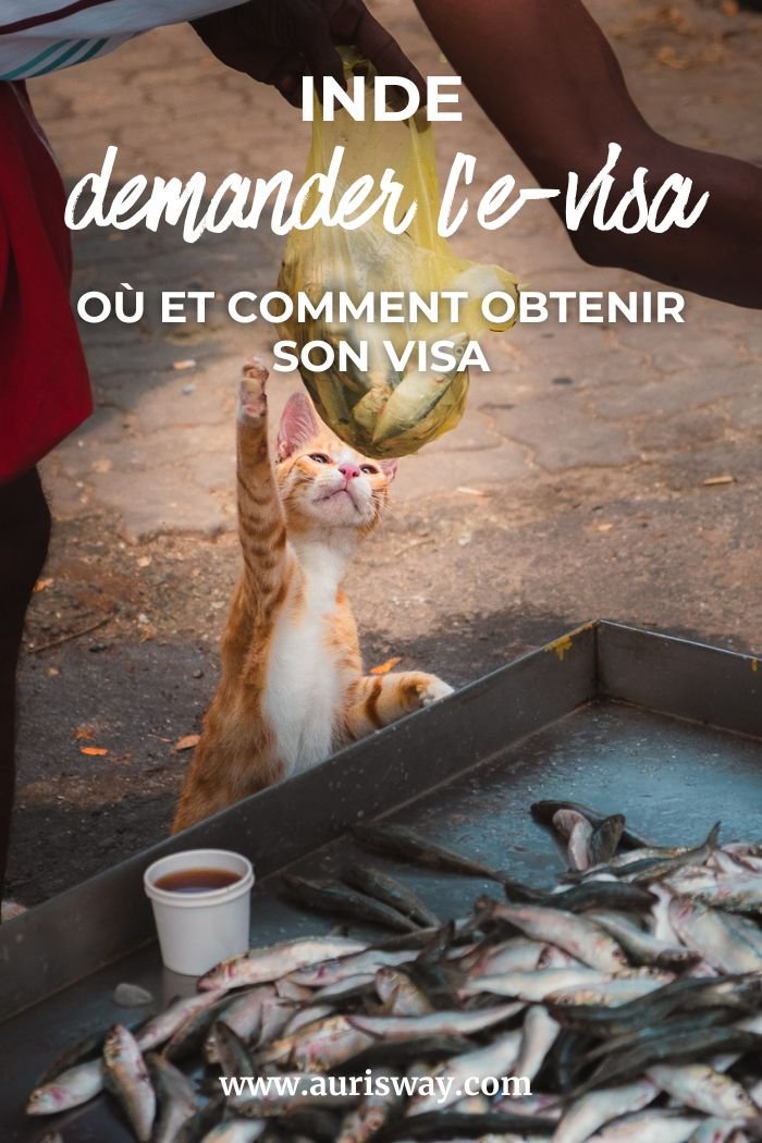 Pin Pinterest Demander son e-visa pour l'Inde