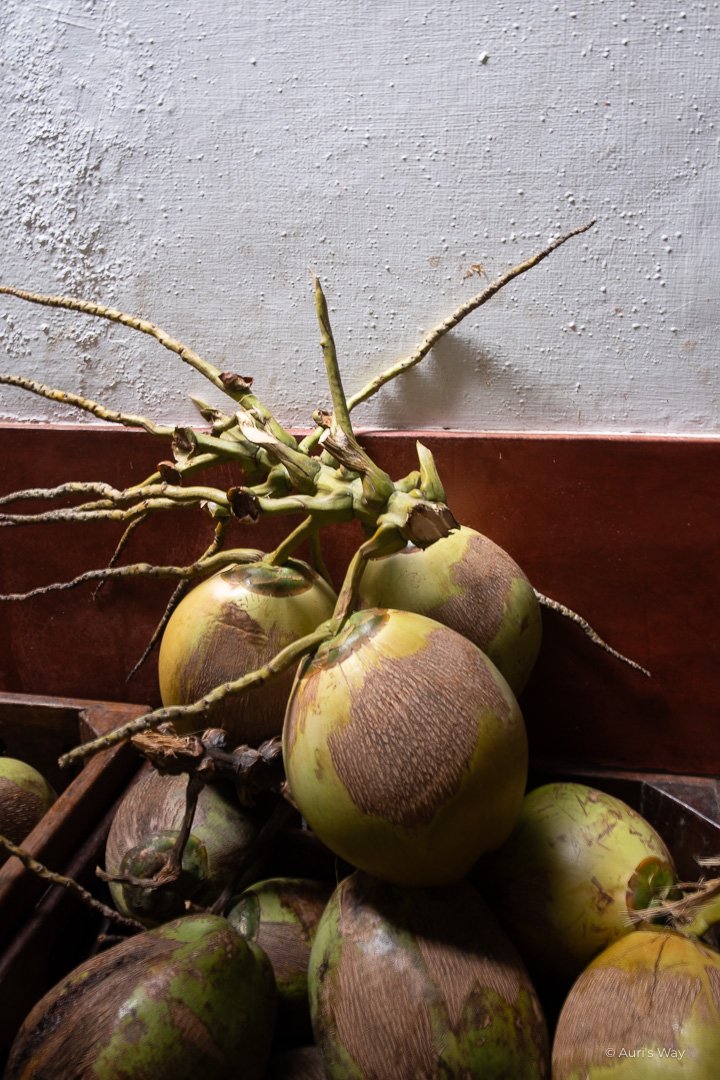 Noix de coco dans un café à Cochin.