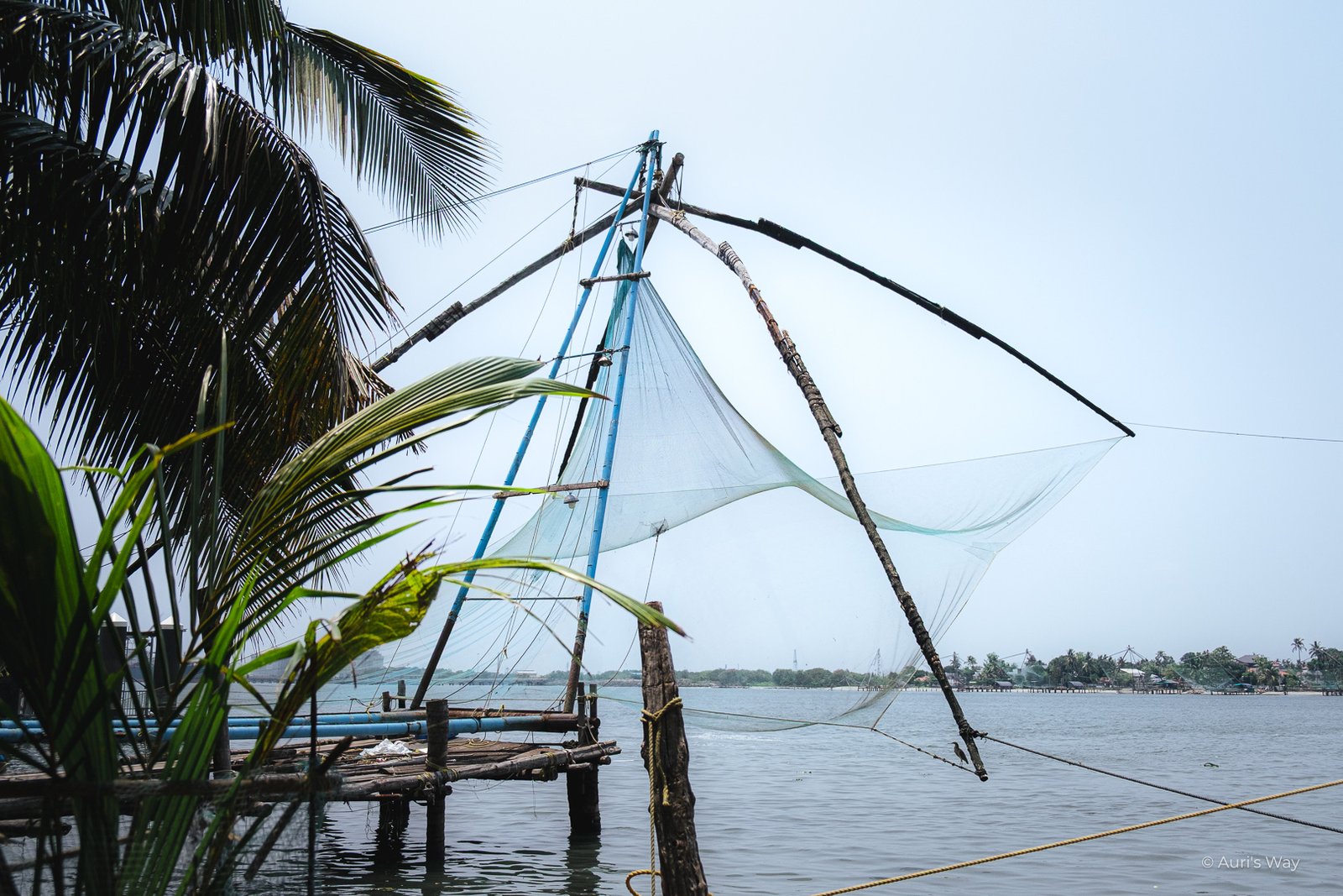 The Chinese nets in Cochin are an iconic sight