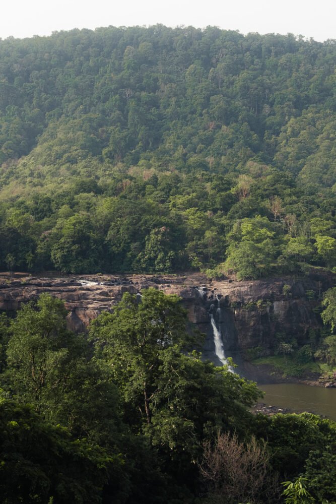 Vue sur la cascade d'Athirappilly au Kerala