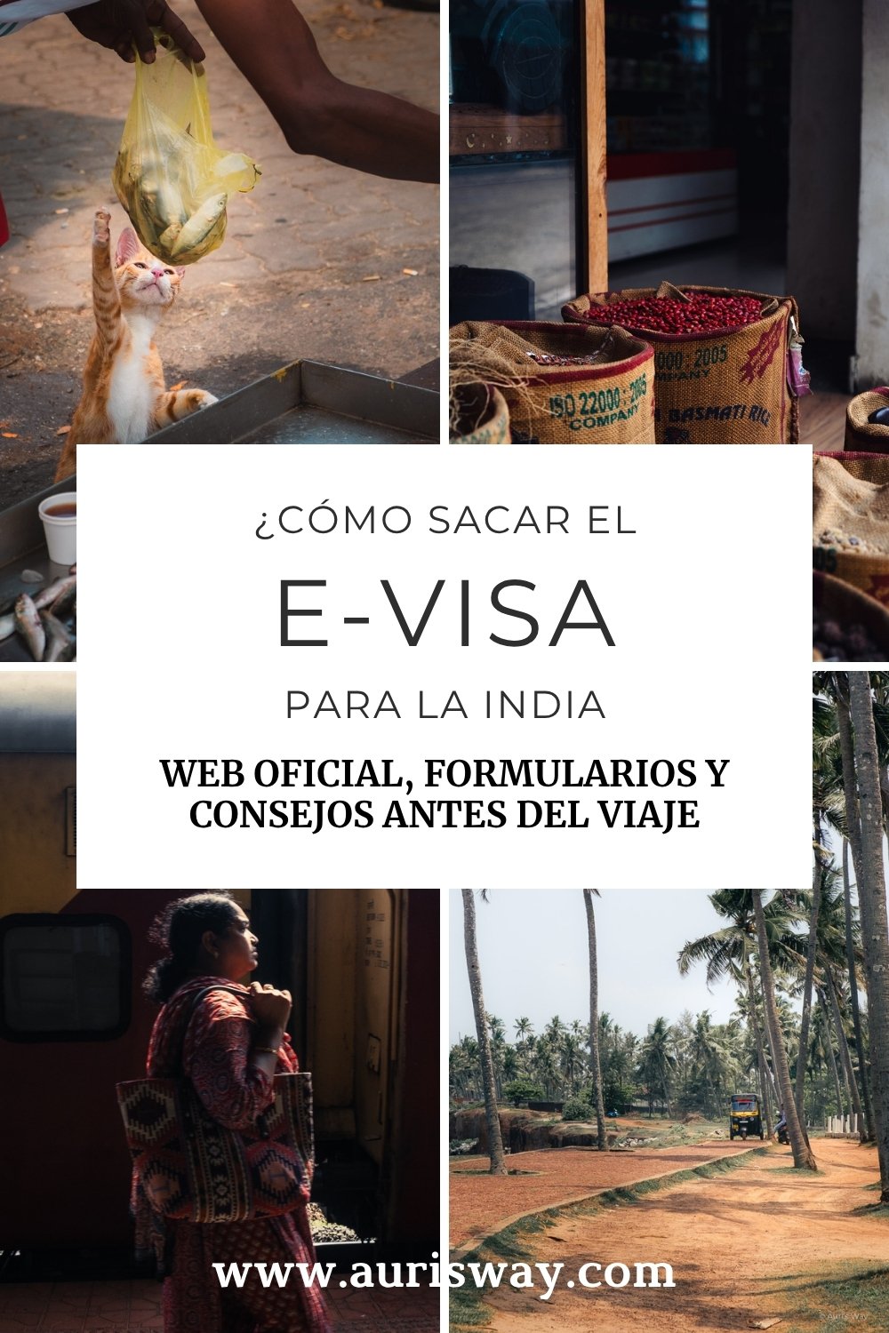 Pin Pinterest sobre el articulo Como sacar la e-visa para la India en un formato mosaico