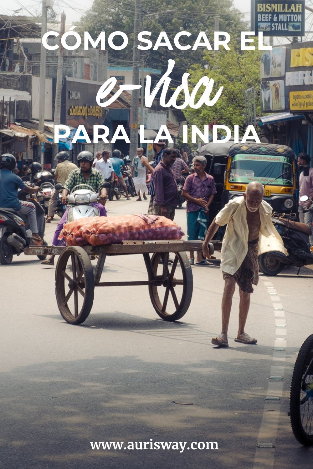 Pin Pinterest sobre el articulo Como sacar la e-visa para la India