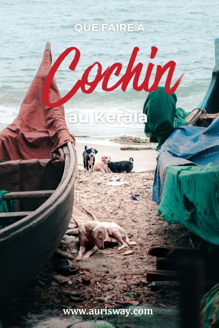 Pin Pinterest Que faire à Cochin au Kerala ?