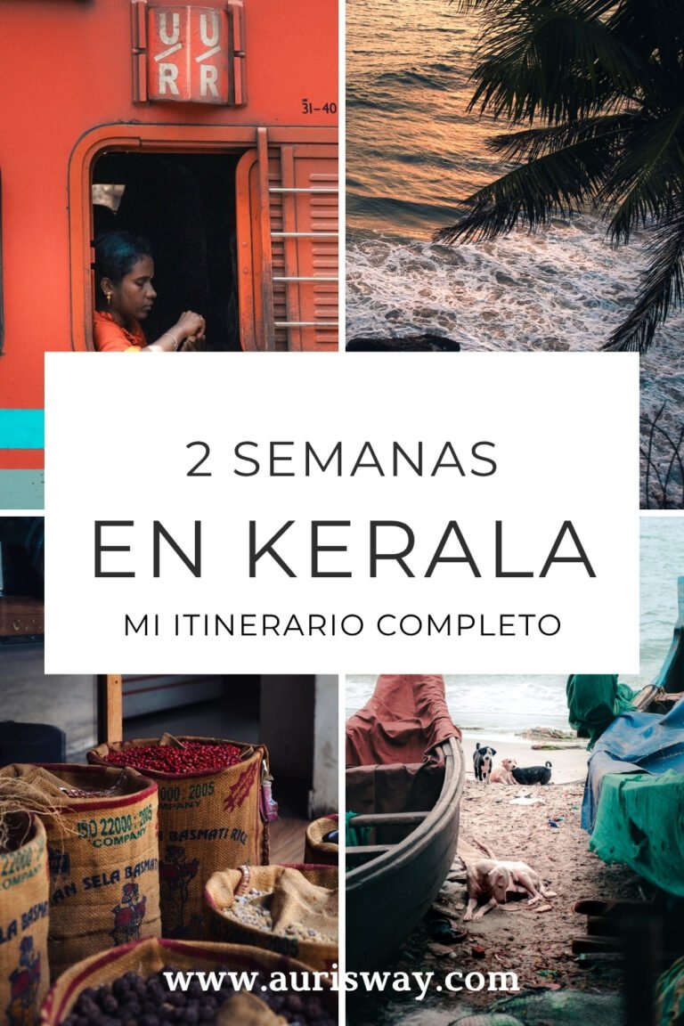 Pin Pinterest sobre el articulo 2 semanas en Kerala en un formato mosaico