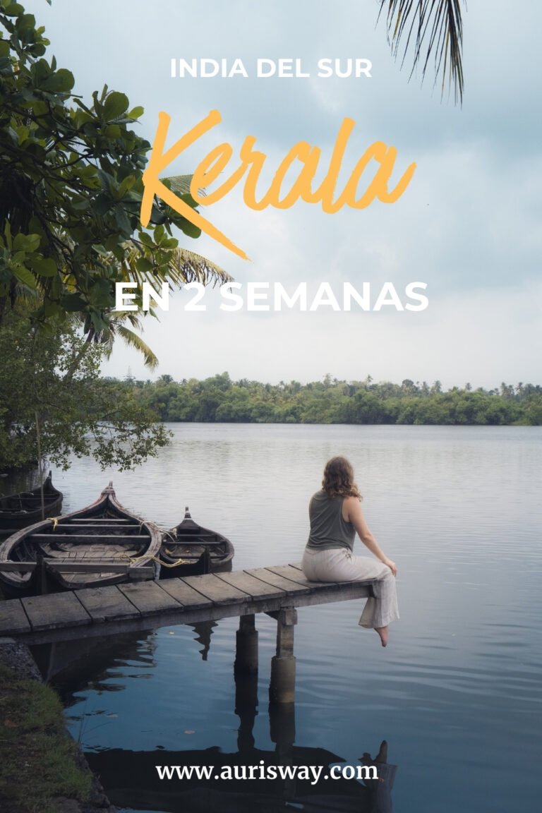 Pin Pinterest sobre el articulo 2 semanas en Kerala