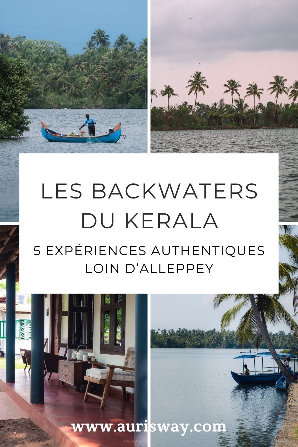 Pin Pinterest sur l'article Que faire dans les backwaters du Kerala au format mosaïque