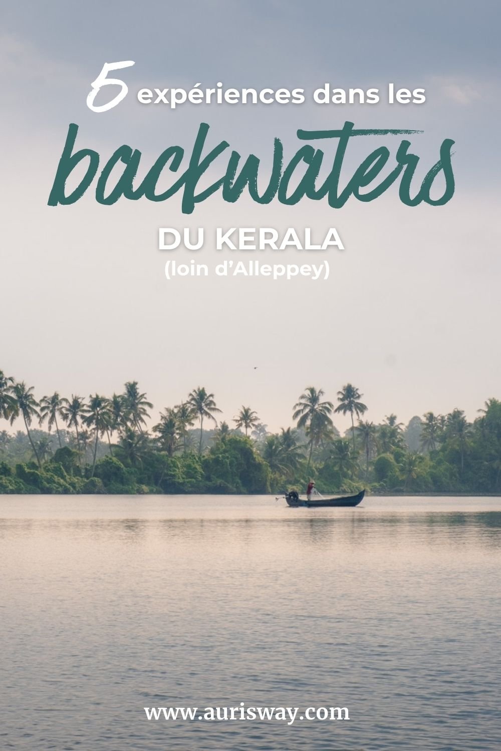 Pin Pinterest sur l'article Que faire dans les backwaters du Kerala.