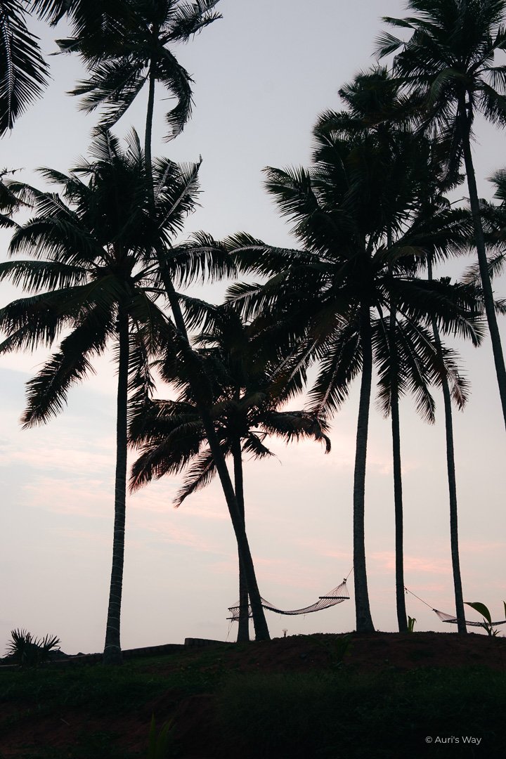 Un hamac relaxant. au coucher du soleil. au Maadathil cottages