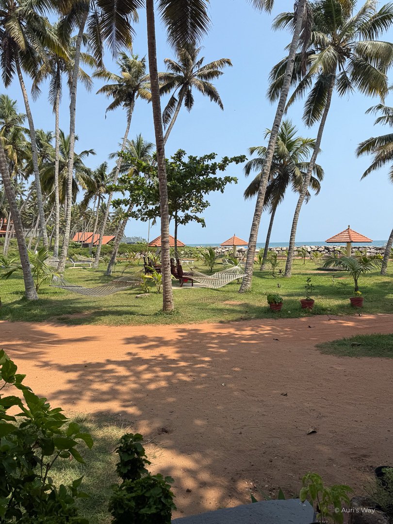Le jardin du Maadathil cottages, sous les cocotiers et devant la mer