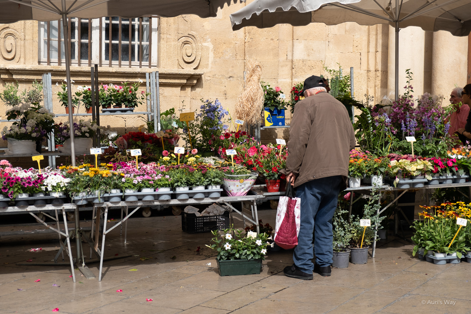 Vieil homme devant un stand de fleurs au marché aux fleurs d'Aix en Provence le samedi.
