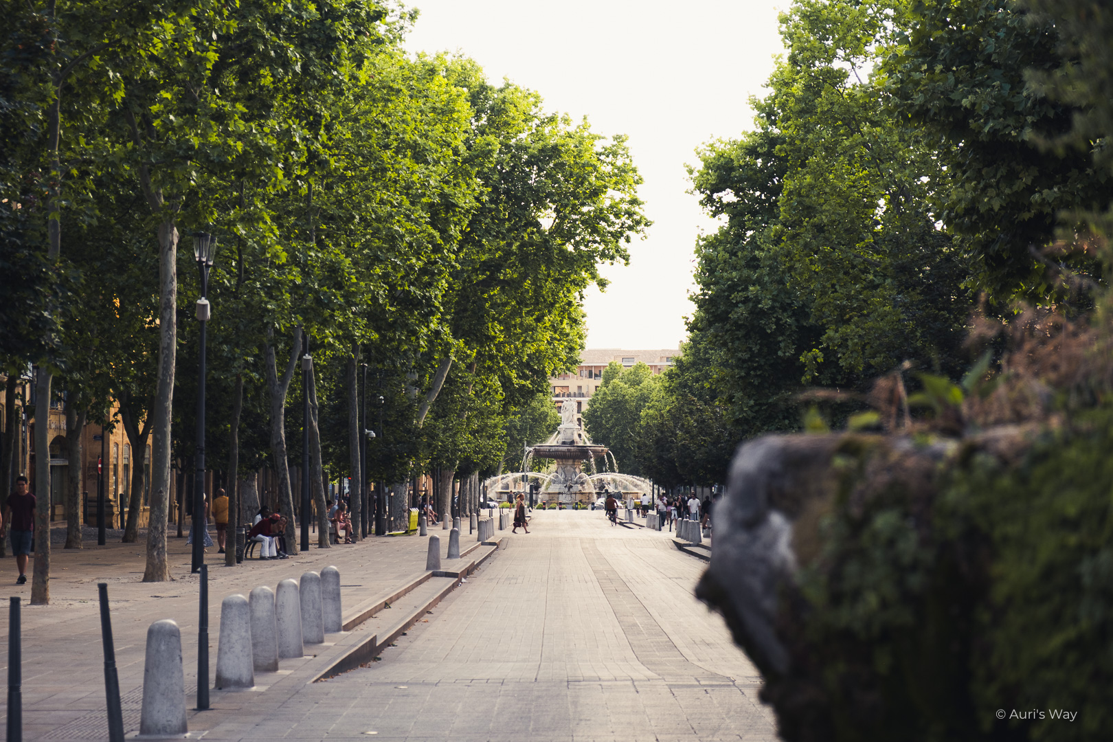 Le Cours Mirabeau d'Aix-en-Provence avec la Rotonde au fond.
