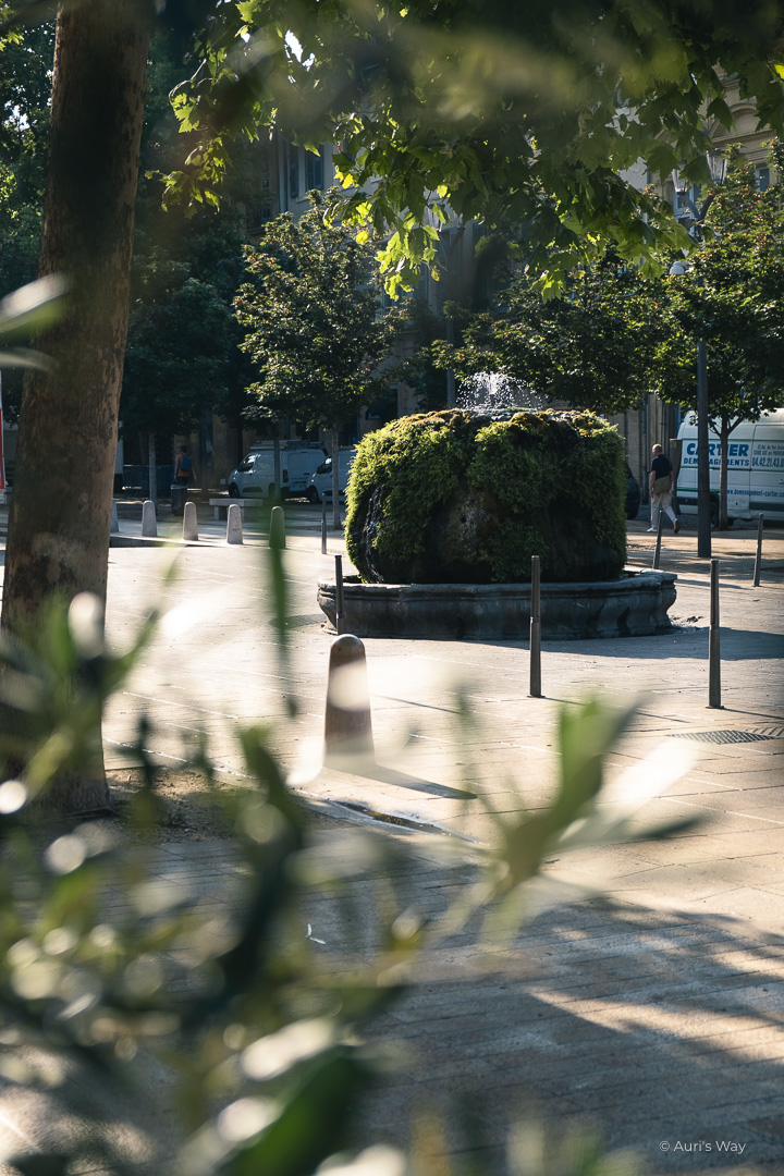Le Cours Mirabeau d'Aix-en-Provence est parsemé de fontaines, dont la fontaine moussue