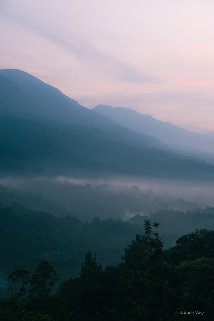 Brume sur la vallée de Munnar au lever du soleil.
