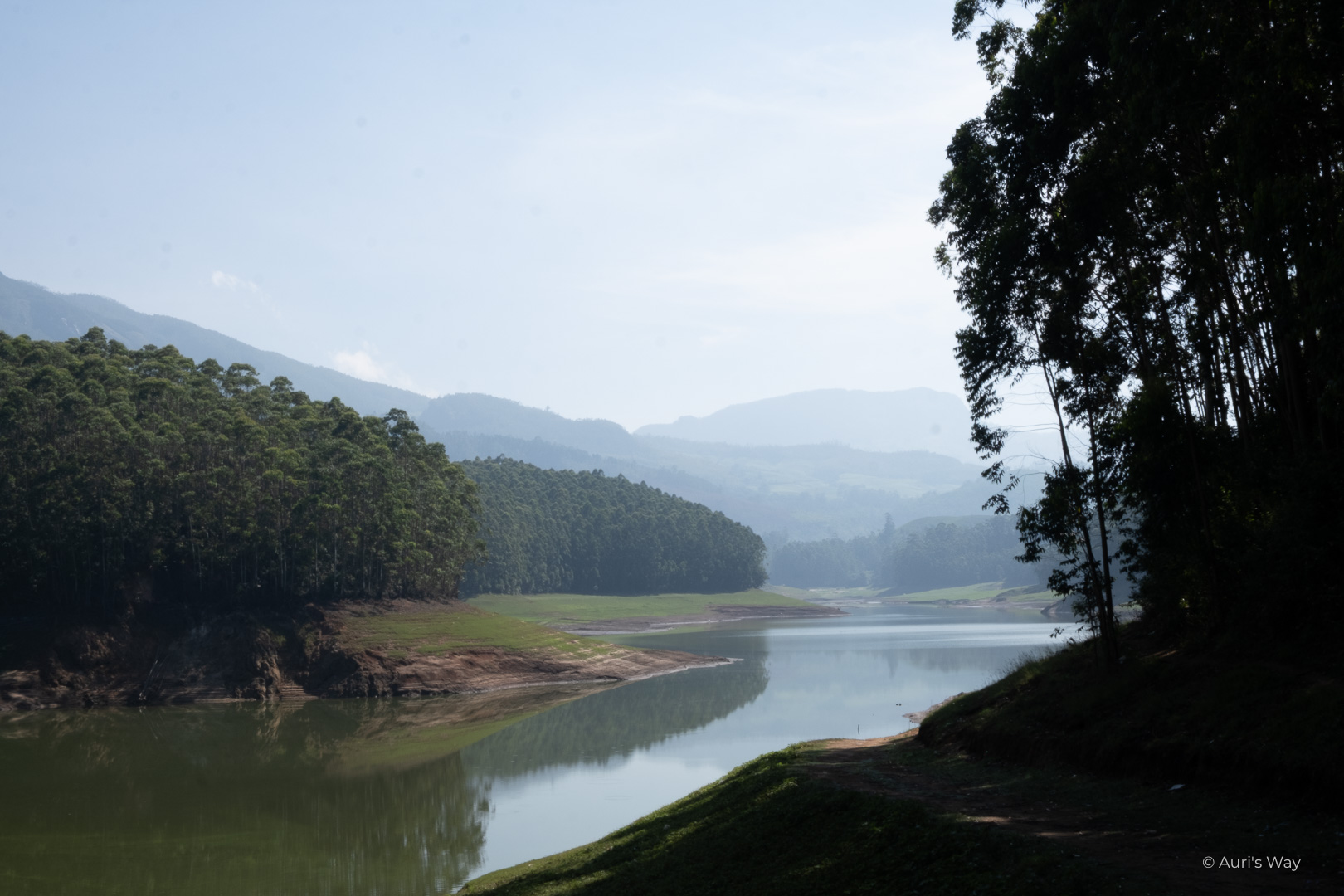 Le barrage de Mattupetty Dam, situé à Munnar au Kerala, n'est jamais à sec, même en période sèche.