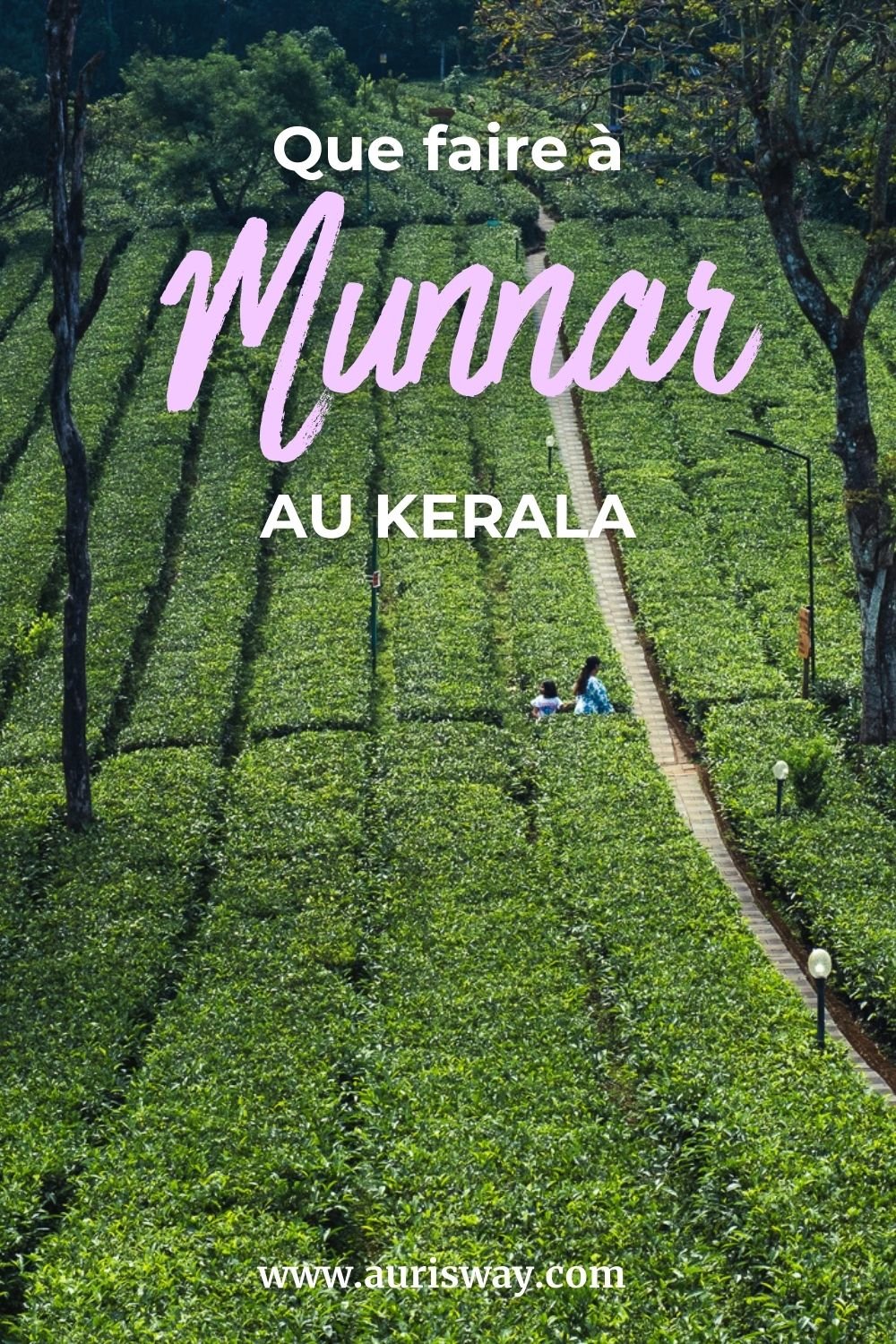 Pin Pinterest sur l'article Que faire à Munnar