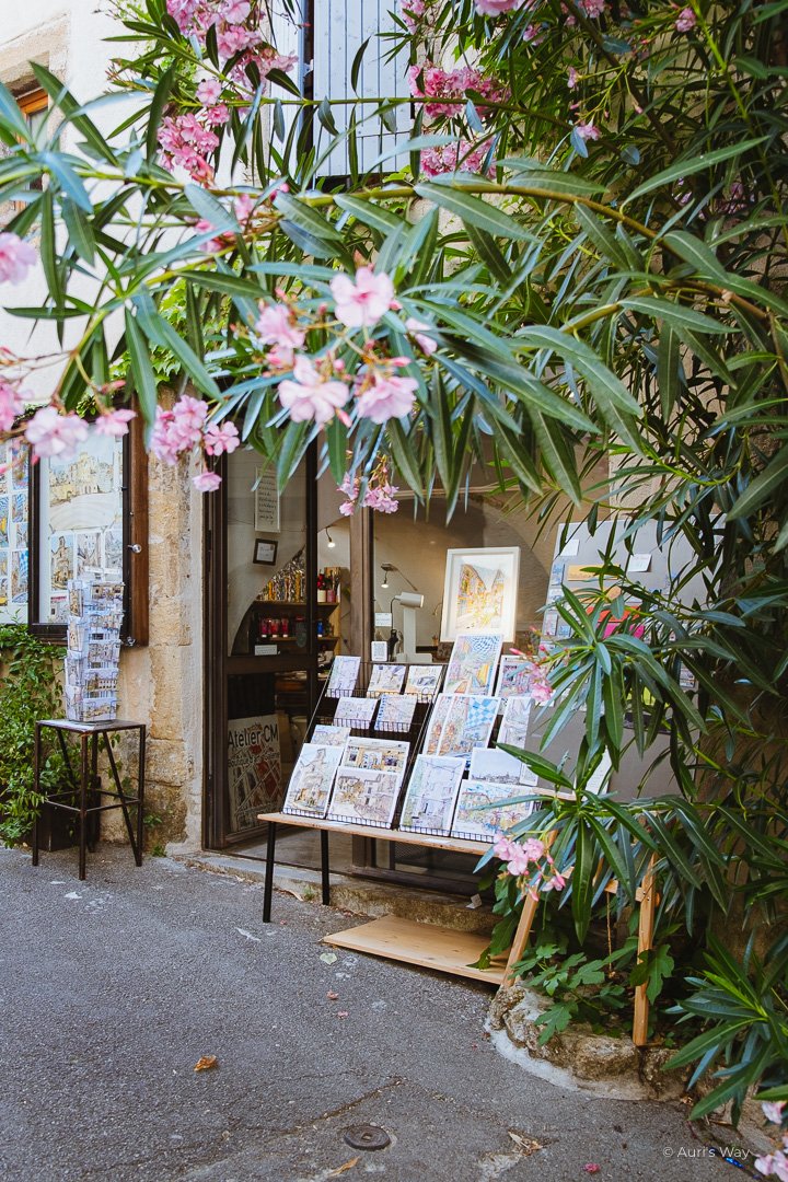 Boutique d'art avec fleurs roses dans une ruelle de Lourmarin.